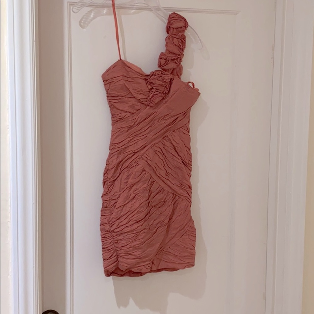 Dusty Rose BCBG dress